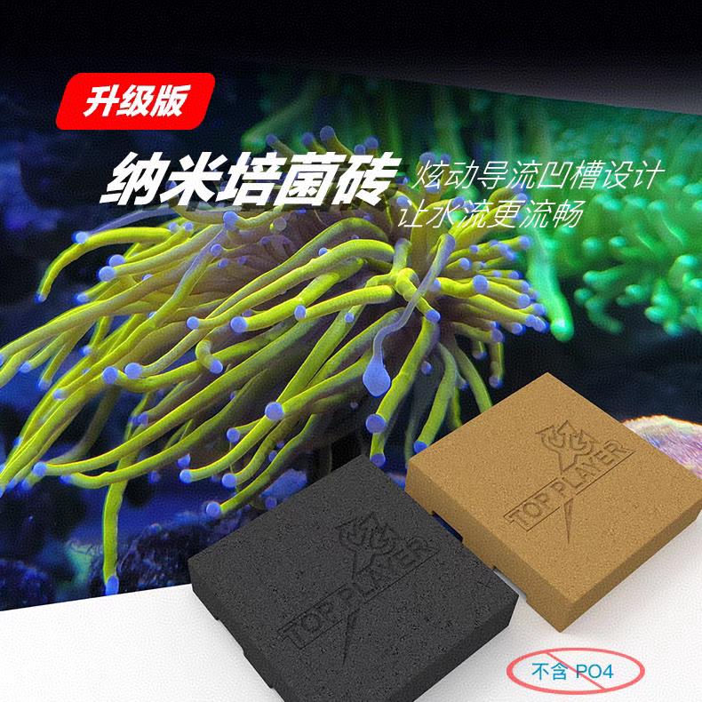 顶玩家神砖滤材纳米砖培菌容菌高透水淡海水鱼缸硝化细菌屋无PO4