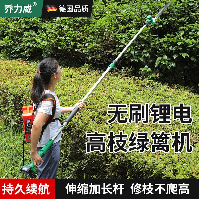 高枝电动绿篱机锂电充电式高空长杆园林修枝绿化桂花树茶树修剪机