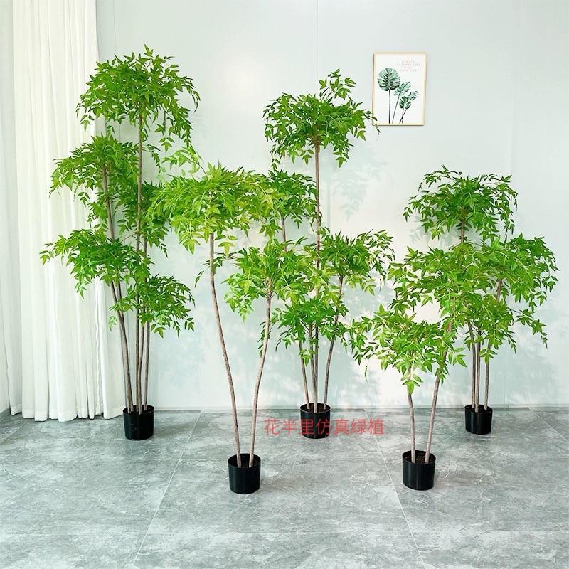 南天竹彷真绿色植物大型室内客厅造景落地摆件装饰盆栽彷生植物假