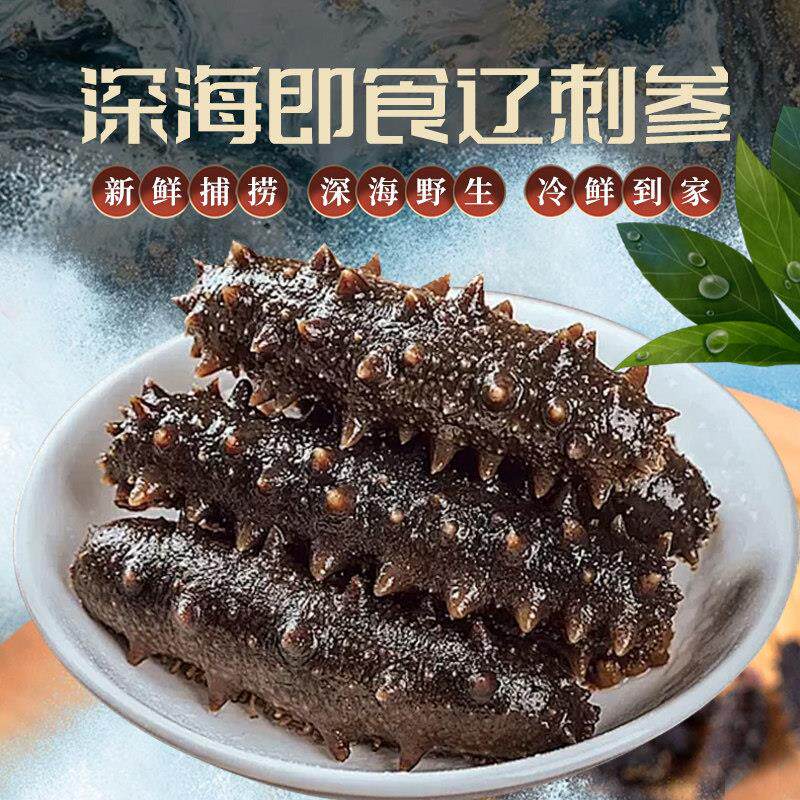 新鲜大连即食特大海参独立包装免煮野生海生辽刺参袋装海鲜