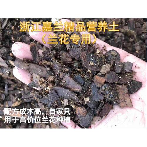 【浙江嘉兰】*兰花专用营养土*精品植料优质配方高档兰花专用