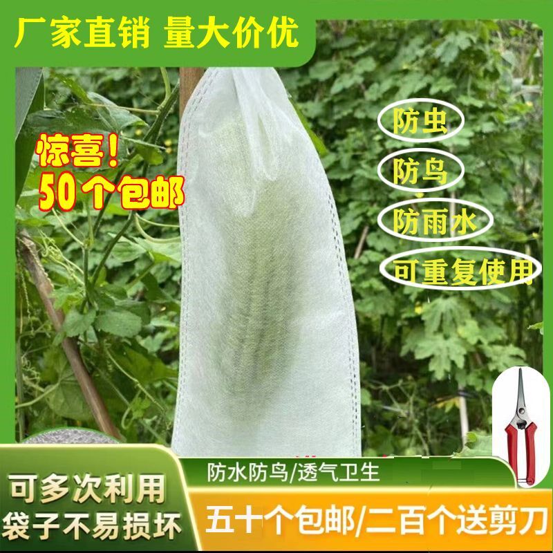 青瓜袋加密纱网袋黄o瓜防虫套袋苦瓜丝瓜黄瓜果防鸟器罩透气束口