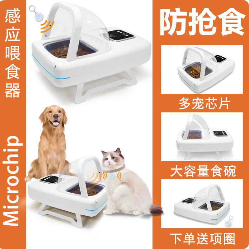 芯片识别自动喂食器智能红外线感应多宠猫咪宠物猫碗定时防偷吃