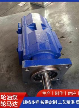 高压双联齿轮泵CBFC563/516-2FL不易磨损发货速度快齿轮泵厂家