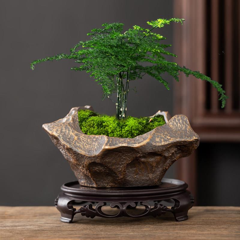 竹子专用花盆彷石头兰花蝴蝶兰君兰盆陶瓷透气带托盘多肉文盆景盆