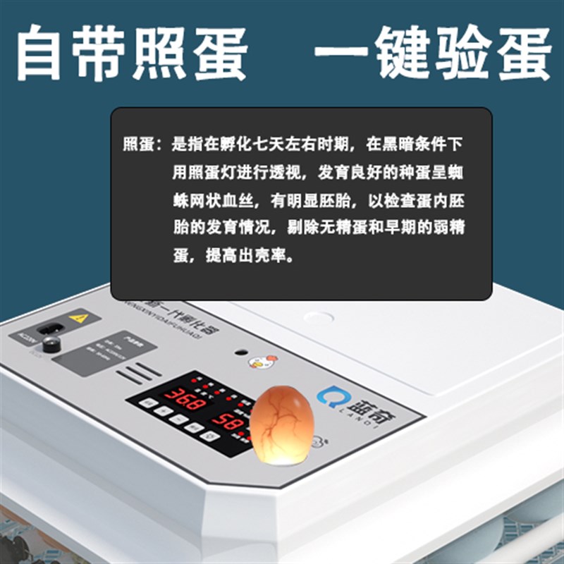 全自动孵化机家用小型小鸡孵化器鸭鹅芦丁鸡孵蛋器智能孵化箱