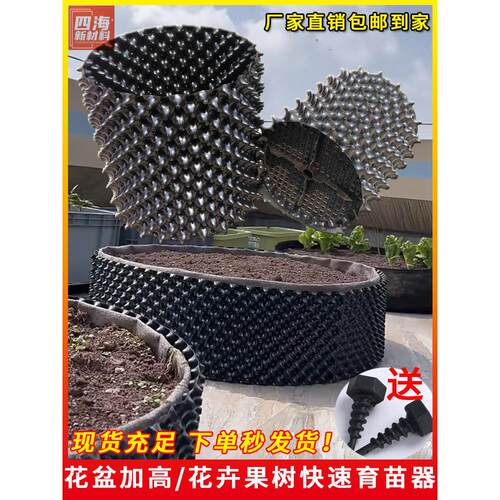 盆景果树生根器花盆加高控根器植树围植板排水板移苗育苗园林绿化
