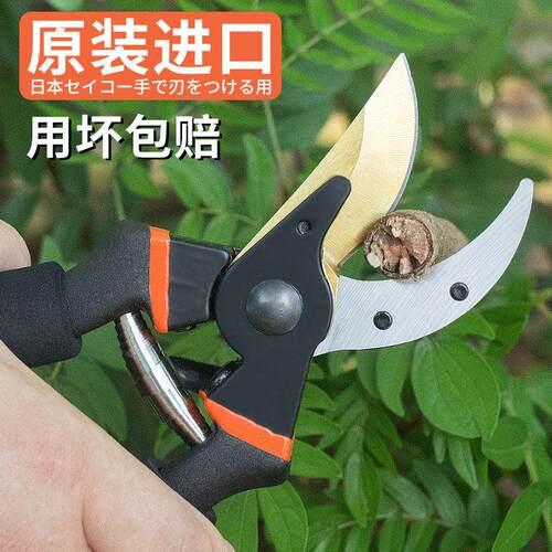 进口多用剪树枝专用剪刀园林果树粗枝园艺修枝剪修花省力SK5剪子