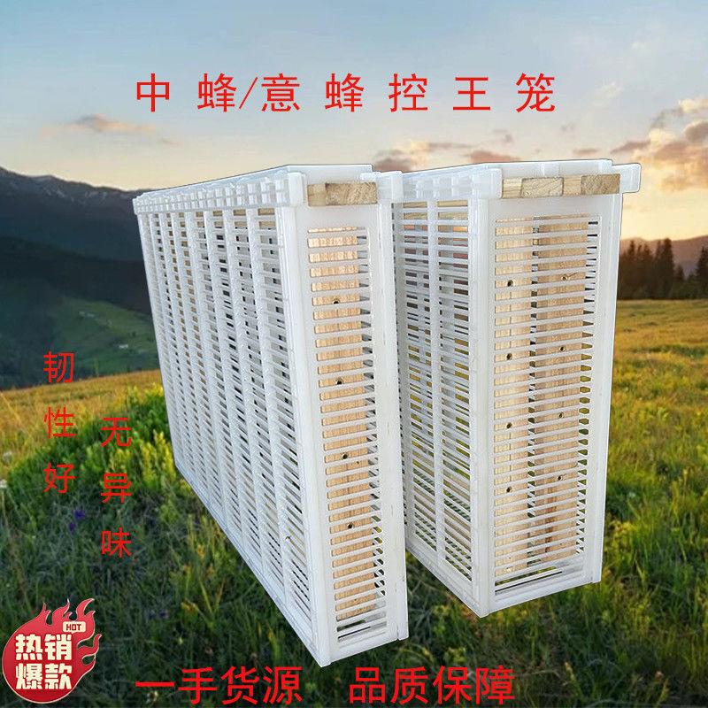 中蜂意蜂王产卵控制器防逃片产卵产子蜜蜂箱单框双框囚王笼隔王器