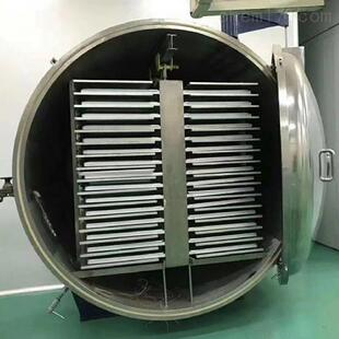 100平大型水果菜蔬冻干机草莓VWO苹果冻芒果干设备榴莲真空干燥机
