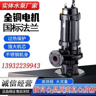 潜水排污泵污水提升泵220V泥浆抽粪沙230V地下室家用化粪池淤泥泵