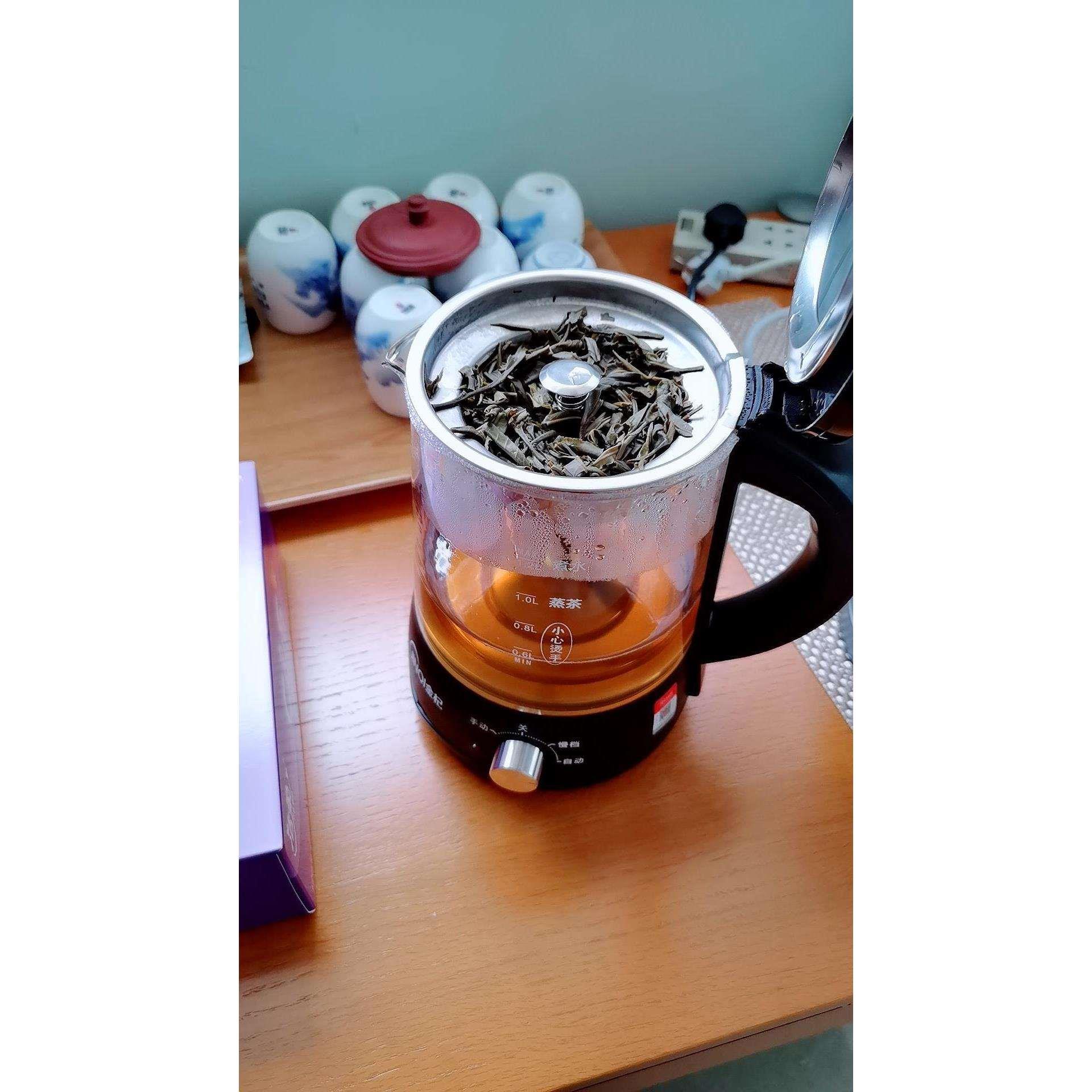 黑茶煮茶器普洱蒸汽式全自动玻璃养生壶保温电茶壶电热水壶