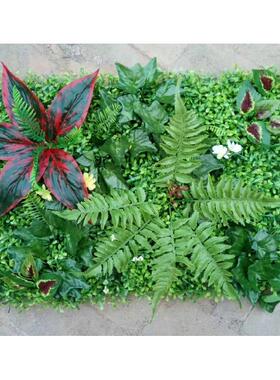 墙围装饰模拟花卉植物墙绿色植物背景加密草坪塑料红玉波斯叶草皮
