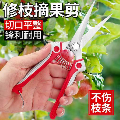 德国不锈钢园艺剪刀修枝剪园林修剪树枝果树专用采摘葡萄蔬果剪子