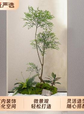 森空间彷真绿色植物造景入户楼梯橱窗微景观玄关角落植物摆件苔藓