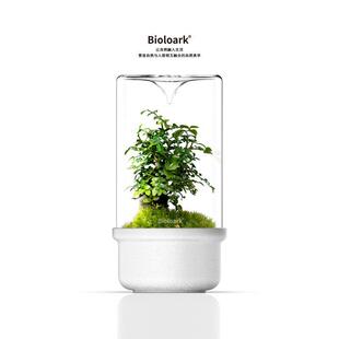 「空城里」Bioloark生态瓶苔藓微景观水滴玻璃瓶生物方舟LED灯