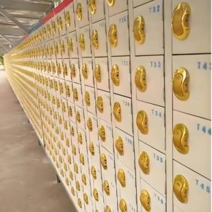 电子锁桑拿锁储物柜感应锁浴室洗浴磁卡刷卡锁抽屉健身房更衣柜门