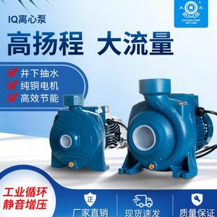 IQ型离心泵农用离心增压泵农田灌溉抽水泵喷灌工业取水管道泵 大元