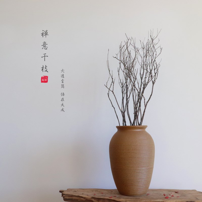 枯枝干枝树枝真枝条干花艺禅意搭配植物花瓶插花摆件拍照摄影道具