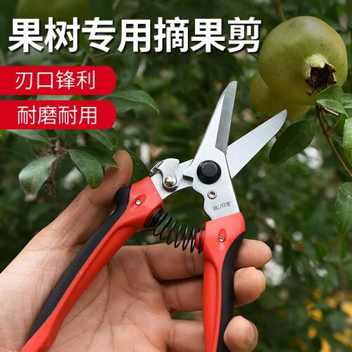 佐川吉762直口手剪修枝剪摘果叶芽剪子花枝园艺剪刀稀果剪包果树