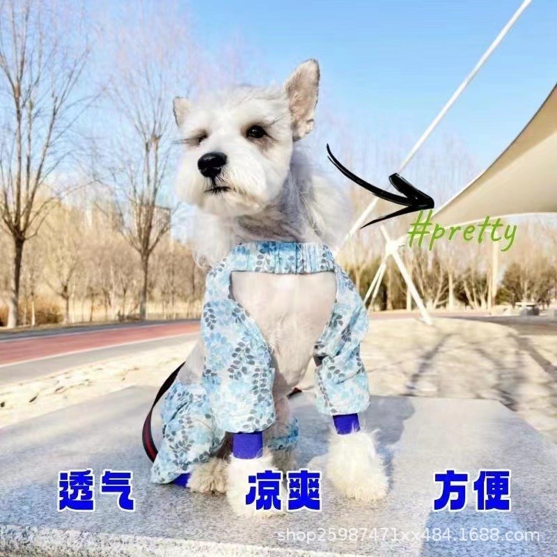 狗狗防尘遛弯防脏外出春夏防虫牵引绳一体轻薄护腿四脚裤小型宠物