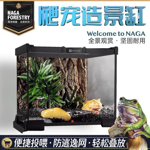 爬宠饲养箱守宫睫角蜥蜴蜘蛛角蛙蛇蝎水陆两栖生态造景雨林玻璃缸