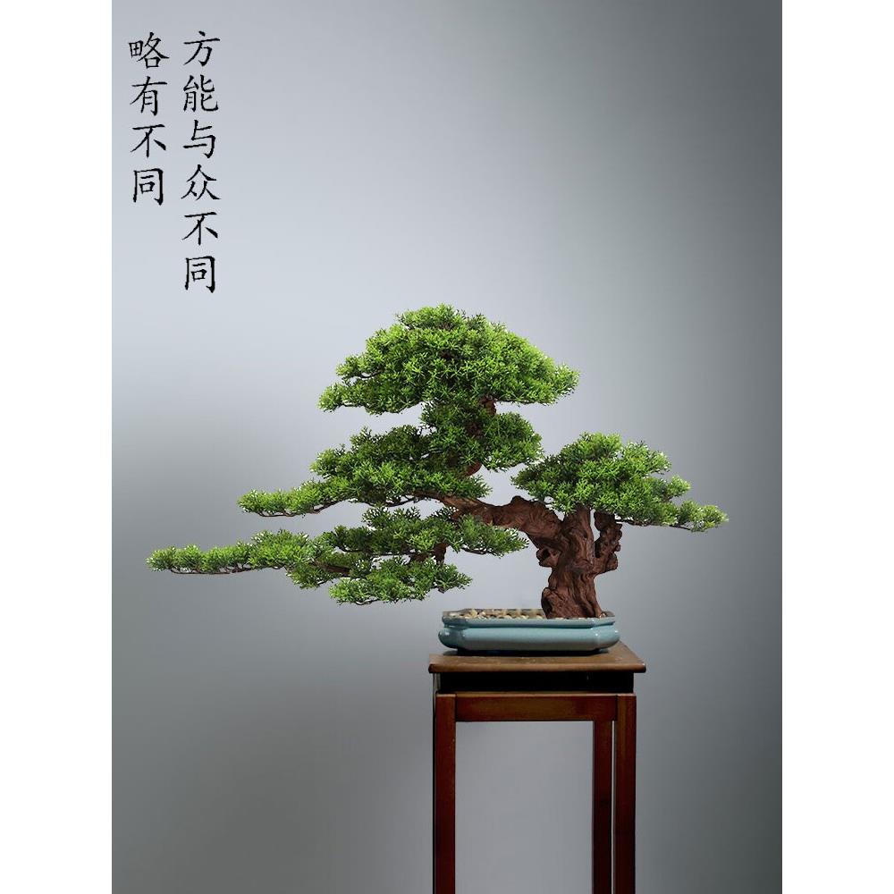 中式崖柏彷真迎客松假树盆景客厅办公室玄关装饰品样板房造景摆件