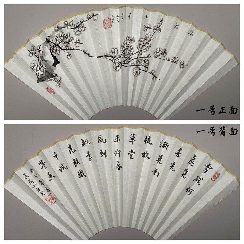 小云纯手绘苏工高档超薄宣纸扇面95寸正面花草背面提字绢布