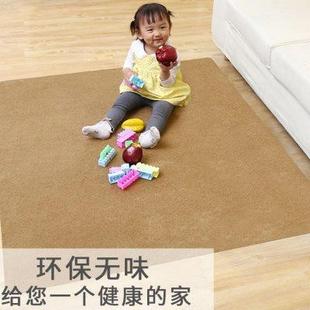 入户门口地垫门垫进门厅蹭脚垫子卧室浴室吸水防滑垫家用厨房地毯