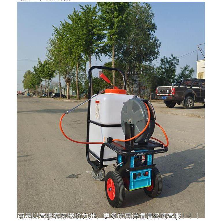 江苏 60动升手推汽式推WJ-60车打毒药机消机 油机喷雾器 养殖农用,农机/农具/农膜,植保机械,淘宝优惠券,粉丝福利购,淘宝优惠卷