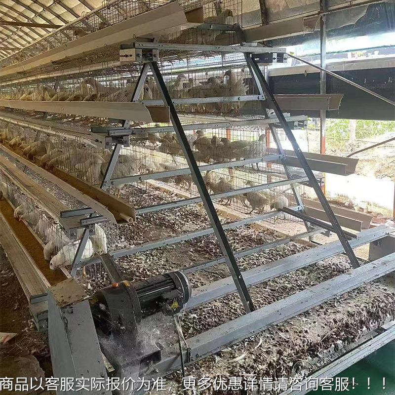 阶SZG梯全自动鸡笼层四阶梯式蛋鸡三笼立式鸡舍养设备鸡家禽养层