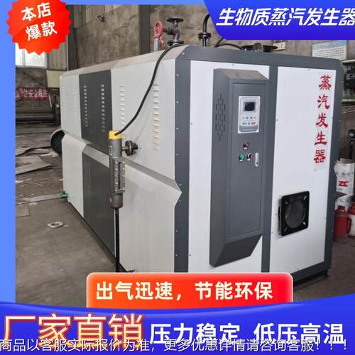 现货供应生蒸物质汽YF发生器 燃烧完全设 热除效率高内尘器