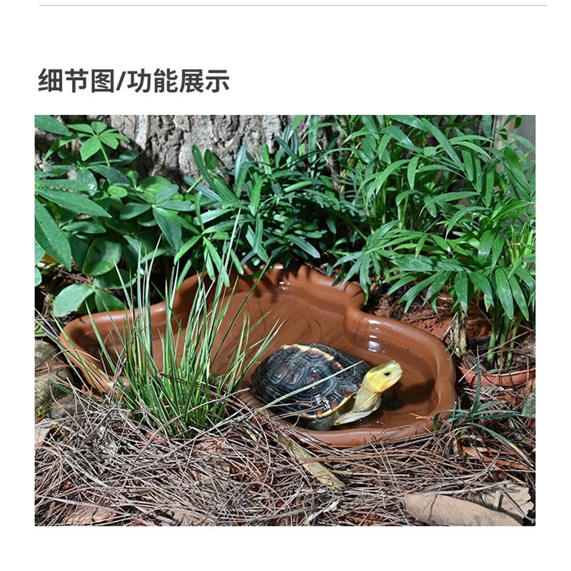 黄缘龟专用澡盆 排水盆安缘幼龟