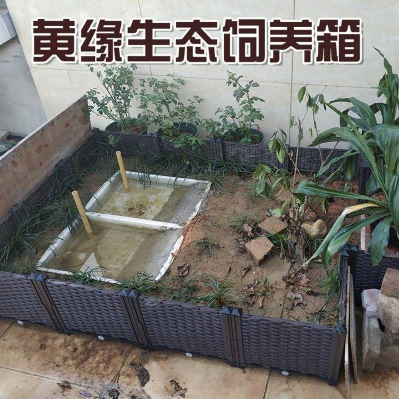 黄缘龟专用箱黄缘龟饲养缸黄缘龟饲养环境黄缘龟养殖箱闭壳安缘台