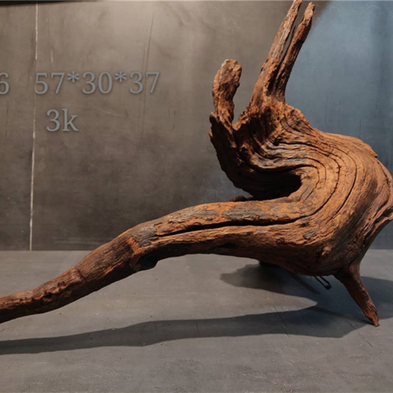 [麦子]沉木 60~120CM拱桥形 紫柚刺木中型鱼缸南美造景水族箱树根