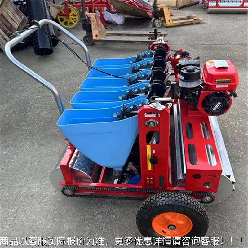 大蒜元贝QWG母播种机用胡电动手推六行油农种蒜机蒜头种汽植机,农机/农具/农膜,播种栽苗器/地膜机,淘宝优惠券,粉丝福利购,淘宝优惠卷