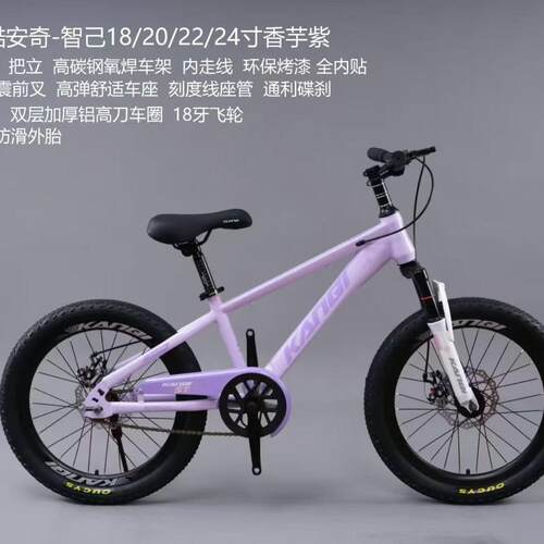 青少年碳钢山地自行车碟刹减震前叉铝合金轮圈单车