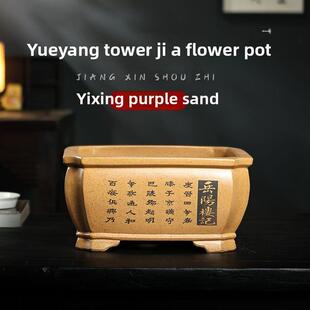 宜兴紫砂花盆广场盆景芦笋竹金大理石海棠兰花Clivia榕树黑松老堆