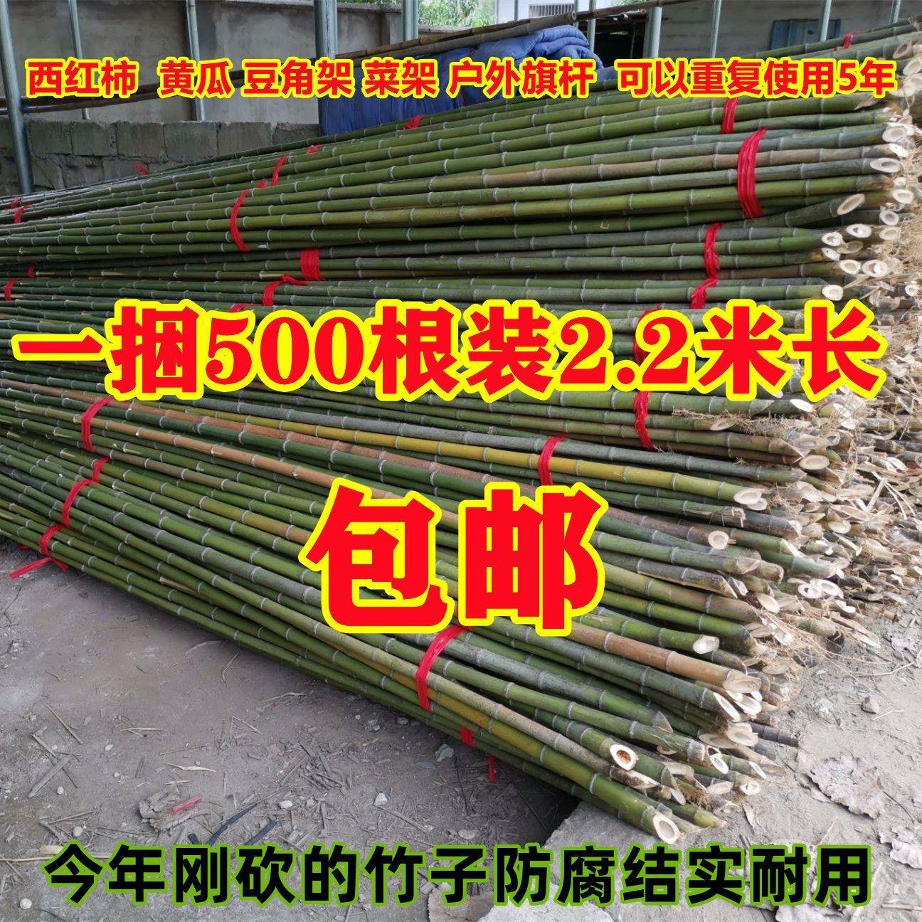 竹杆子菜园搭架竹子篱笆围栏黄瓜豆角爬藤菜架竹竿架种菜支架