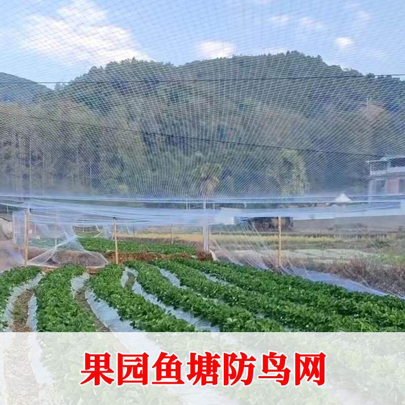 果园防鸟网防鸟蓝莓葡萄果树天网鱼塘牛蛙养殖整体全覆盖露天天网