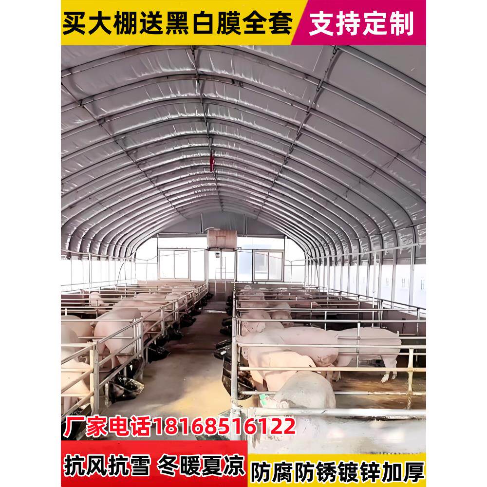 养殖大棚全套大棚骨架养鸡养鸭养牛大棚养猪大鹏养羊大棚支架大棚