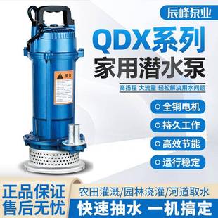 铸铁潜水泵220V家用自吸高扬程抽水泵农用排污泵灌溉污水泵抽水机