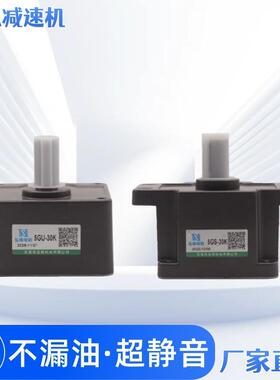 6W15W25W40W60W90W120W180W200W250W300W400W齿轮调速定速变频电