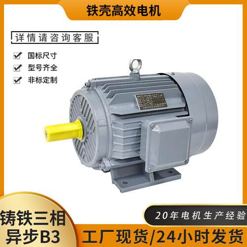 YE4三相异步电机2极转速28001.5/2.2/3/5.5/11/15/18.5/22/30W