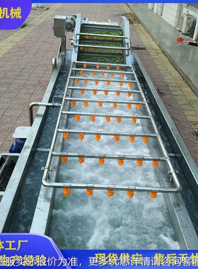 全自动流毛豆风选清洗机 网气泡式毛豆SCK加工水带线设洗备 毛豆