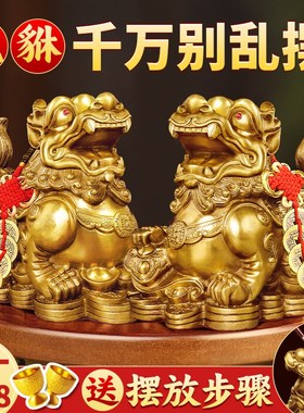 貔貅摆件招财旺财聚财纯铜公母一对家用办公室居家客厅豸皮丘貔恘