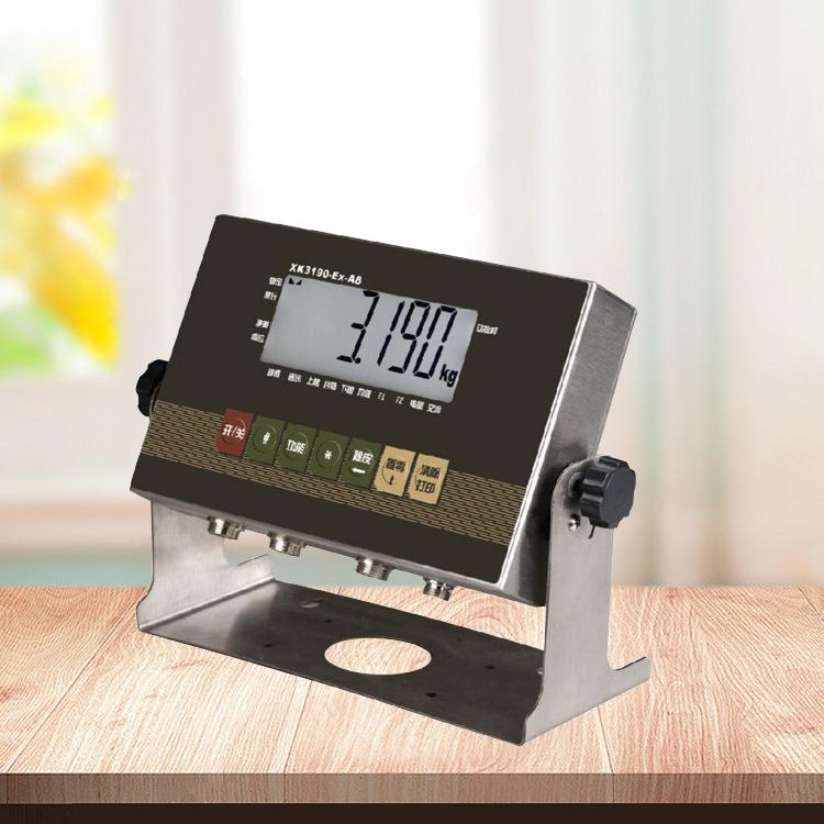 厂家供应XK190-EX-A8化工防爆显示仪器带输出控制仪器仪表