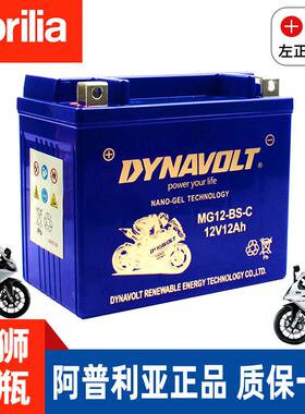 阿普利亚SRMAX250 SRMAX300 SR300 台风SR150ie比雅久X7原厂电瓶