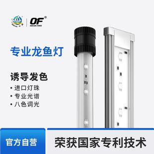 仟湖红龙专用灯LED照明灯防水三色全光谱观赏鱼缸灯超亮增艳吊灯