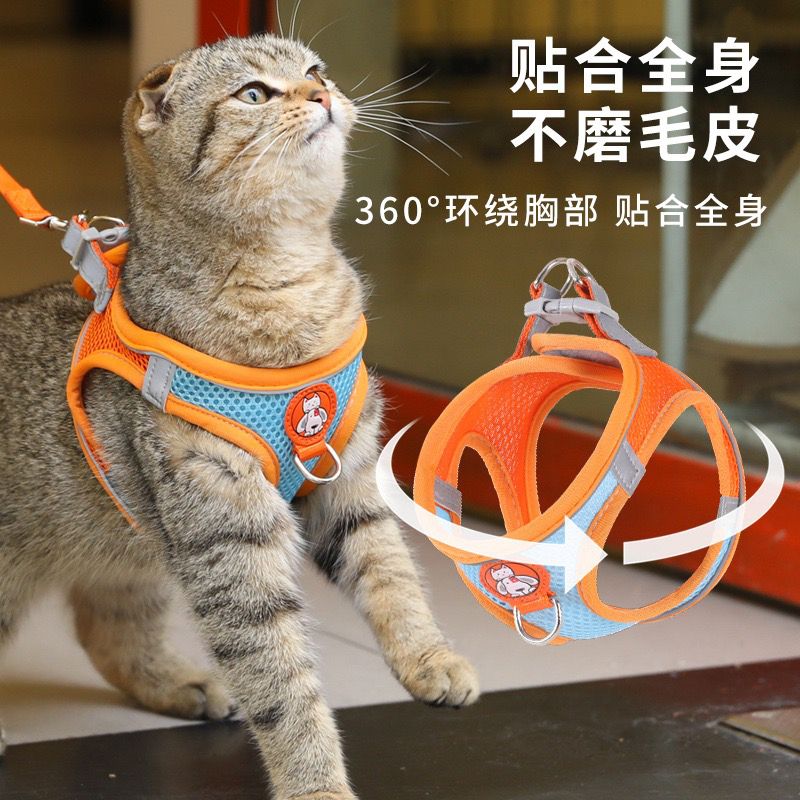 猫咪牵引绳防挣脱外出专用溜猫绳C小型犬泰迪狗狗胸背带网红猫绳